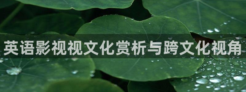 星海之外定档海报