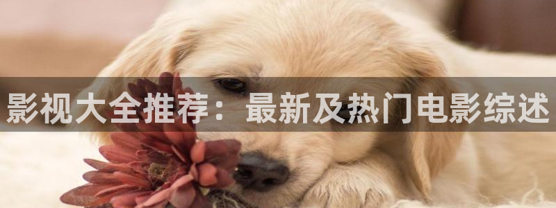 星海之外定档海报