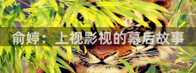 星海之外定档海报