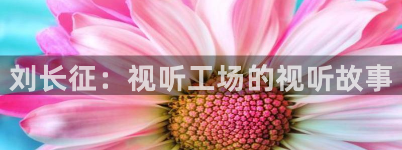 星海之外定档海报