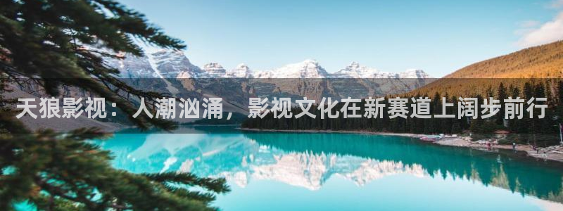 星海之外定档海报